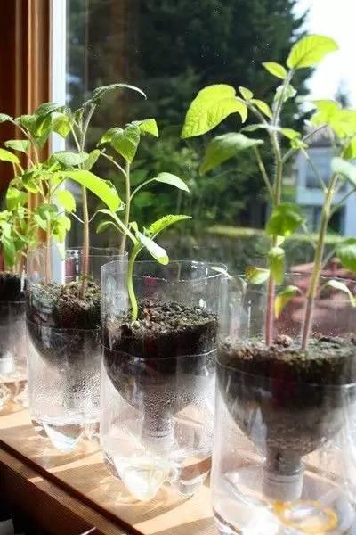 自制便攜收納盒,你家閑置的飲料瓶還能做這些？！