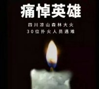 陽(yáng)光甚好，是有人為我們擋住了黑暗...