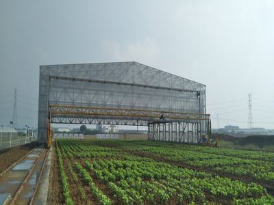 智能起重機為何越來越受到企業(yè)的青睞？